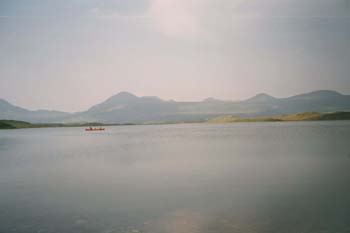 imm022_23