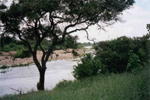 Kruger N.P. Shingwedzi river